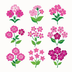 Pink flower pattern: seamless floral design with rose and leaf for spring nature illustration