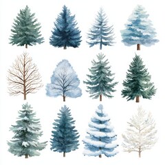 Fototapeta premium Various types of trees in watercolor style, each on white isolated background.
