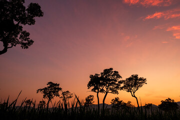 Scenic view dramatic beautiful sunset sky. Natural Sunset Sunrise on meadow silhouette shadow dark land. Vibrant dramatic sky on sunset, dawn, sunrise in Countryside. Landscape Colorful Sky At Sunset