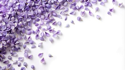 Fototapeta premium Soft lavender petals scattered on a white background, serene landscape, garden scene, gentle hues, floral arrangement