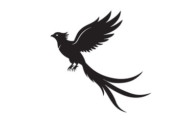 Resplendent Quetzal Silhouette vector illustration, Resplendent Quetzal Silhouette 