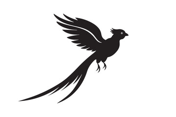Resplendent Quetzal Silhouette vector illustration, Resplendent Quetzal Silhouette 