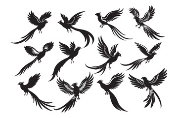 Resplendent Quetzal Silhouette vector Bundle, Resplendent Quetzal Silhouette vector illustration