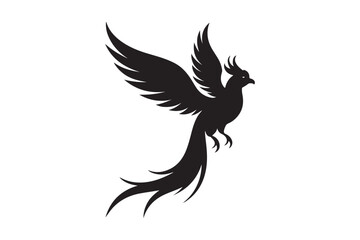 Resplendent Quetzal Silhouette vector illustration, Resplendent Quetzal Silhouette 