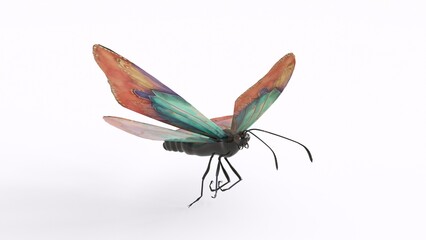 colorful butterfly with white background