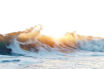Dynamic ocean wave captured in sunlight, showcasing the beauty of nature with vibrant colors and texture, isolated on white background.