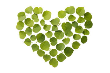 Heart shape made of green leaves on a white background, symbolizing love and nature.