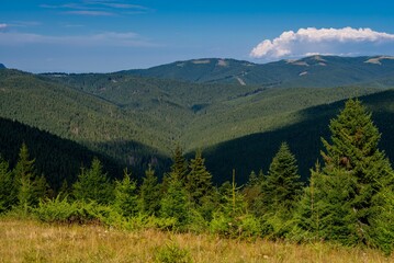 Obraz premium Beautiful view of a grassy meadow with lush trees and mountains in the background