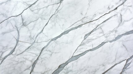White marble surface with natural gray and black veining patterns, illustrating the intricate texture and elegance of the marble material.