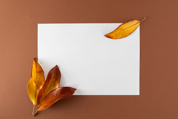 White paper with leaves on brown background. Beautiful autumn colors, brown and yellow with copy space.