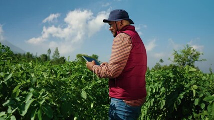 Agronomist smiling to camera in potato field with tablet for quality control. Digital technology in agriculture. Farmer working on sustainable farm practices