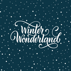 Winter wonderland handwritten text with stars and snowflakes. Hand lettering typography. Modern brush ink calligraphy. Vector illustration as greeting card, banner, poster, logo. Season's greeting