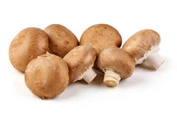 Royal brown champignons, isolated on white background.