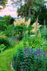 Flowers, grass and trees in garden of home for green outdoor landscaping or real estate development. Bush, growth and spring with backyard in residential neighborhood for botany or horticulture