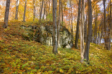 Autumn landscape rock in a yellow autumn forest
