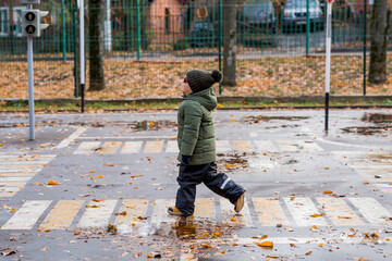 A little boy of 5 years old crosses the street at a pedestrian crossing. Traffic Laws. Be...
