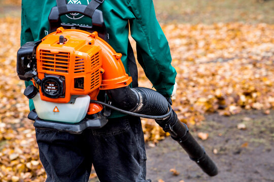 Cleaning. A worker on the street collects leaves in autumn using a blower. The lawn in the park is covered with fallen leaves.