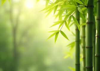 Softly falling bamboo leaves create a serene natural environment with a gentle earthy tone.