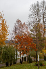 autumn in the park
