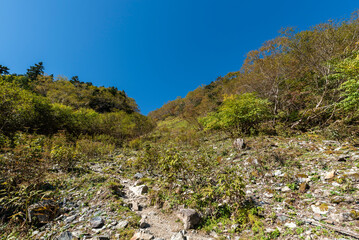 北岳登山道草すべり　山梨県南アルプス市