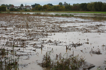 flooded farmland flat plain caused by river overflow rain