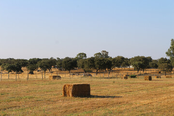 hay bales in a field mediterranean harvest traditional agriculture portugal view