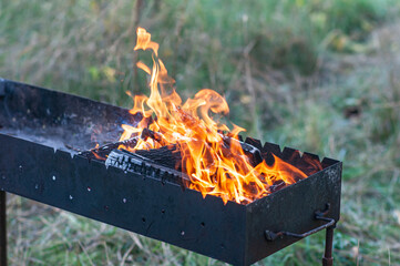 barbecue in the garden