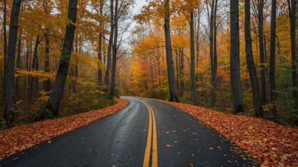 Obraz premium A winding mud road leads through a dense autumn forest, illuminated by the warm glow of vibrant red, orange, and yellow leaves. Fallen leaves carpet the road, adding depth and richness to this serene 