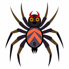 spider on a white background