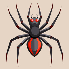 spider on a white background