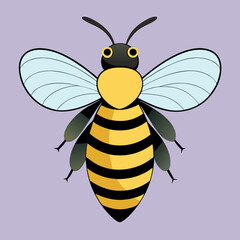 bee on a white