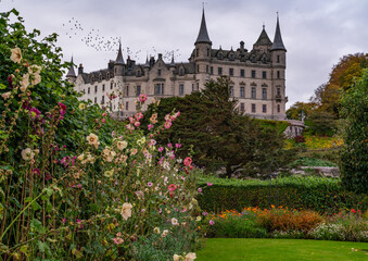 Fototapeta premium The road to Wick Scotland