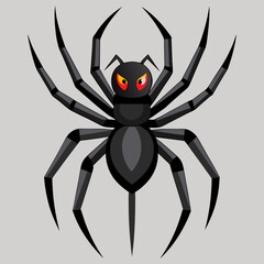 spider on a white background
