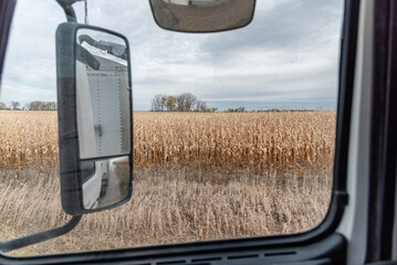 View from Inside Semi Truck Hauling Corn During Fall Harvest, Cornfield and Semi Trailer Visible in Side Mirror, Farm Transport Scene, Agriculture Logistics, Rural Farming, and Crop Transport in Fall