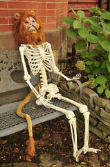 Cowardly skelly skeleton with lion mask Halloween
