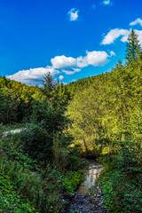 Landscapes - Forest - Europe, Romania, Suceava region