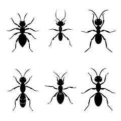 Adorable Ant Clipart - Cute Vector Illustration for Printable Graphics