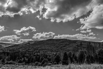 Landscapes -  Forest - Europe, Romania, Suceava region