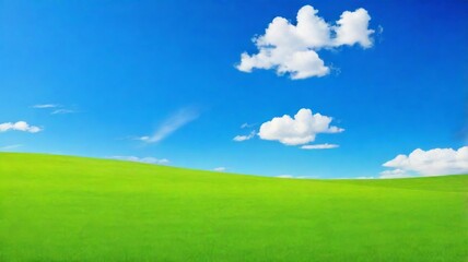Fototapeta premium Blue sky background, short green grass for the subject, sunny day