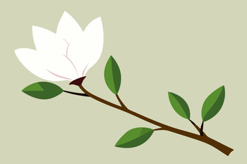 magnolia branch  vector illustration 