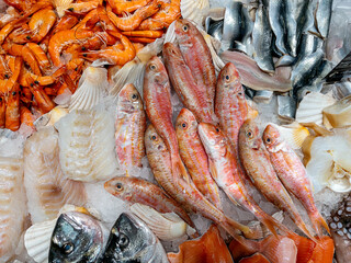 Fresh fish on crushed ice displayed on the fishmonger's counter. Raw mullet and shrimp and sardine fillets in top view