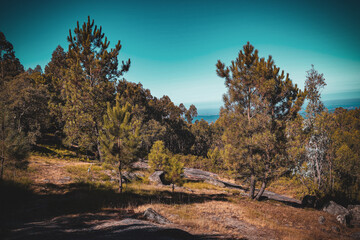 autumn in the mountains