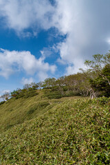 五色山へ続く登山道　栃木県日光市日光国立公園