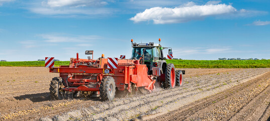 Tractor with potato digger harvesting in the field - 3893