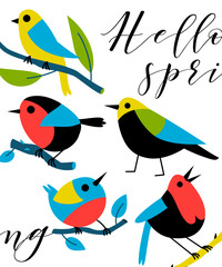 Postcard with colorful birds. Postcard template. Vector illustration with typography