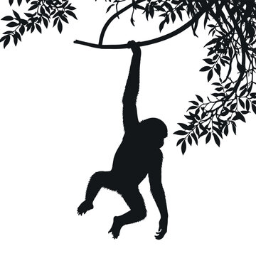 recommend clip art: a monkey a monkey hanging on the tree stick vector silhouette