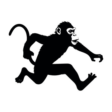 recommend clip art: a monkey running vector silhouette, fill with black color, isolated white background