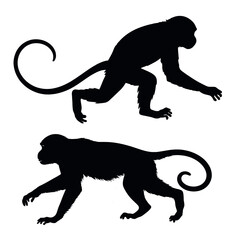 a monkey running vector silhouette, fill with black color, isolated white background © Dream Is Power