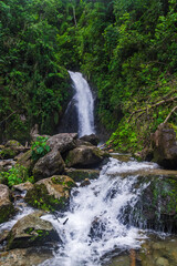 Naklejka premium Catarata Gallito de las Rocas - Satipo, Junín, Perú