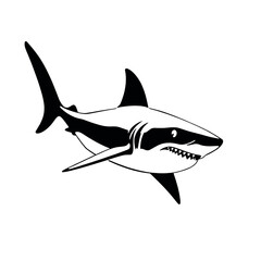 a shark vector silhouette, black color silhouette